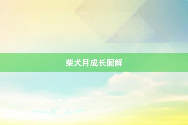 柴犬月成长图解